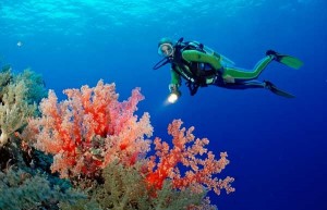 buceador-entre-corales-en-la-isla-rocky-en-el-mar-rojo-cerca-de-las-islas-zabargad_galeria_principal_size2