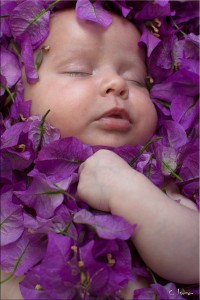 Nikon D60 Nikkor 18 200