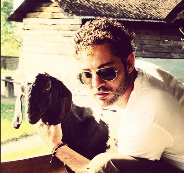 David Bisbal2