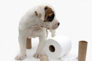 am_762779_6237269_83140