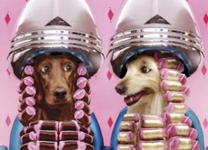 juegos-de-peluqueria-para-perros