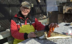 bacalao-vibrador_n-672xXx80