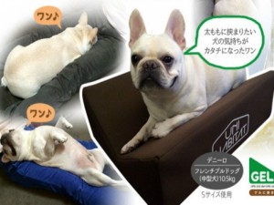 07-11-2015--02-31-17pm--camaparaperros