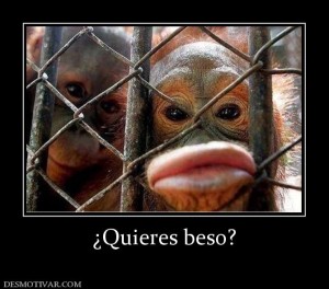27325_quieres_beso
