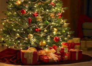 Por-qué-el-pino-es-el-árbol-de-la-navidad-1