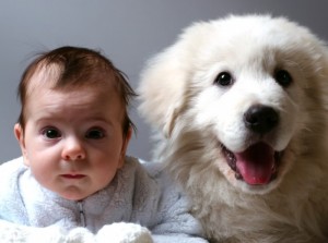 niños-y-animales-de-compañía