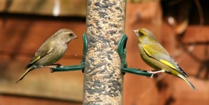 Ecologiablog_verderonescomenalpiste