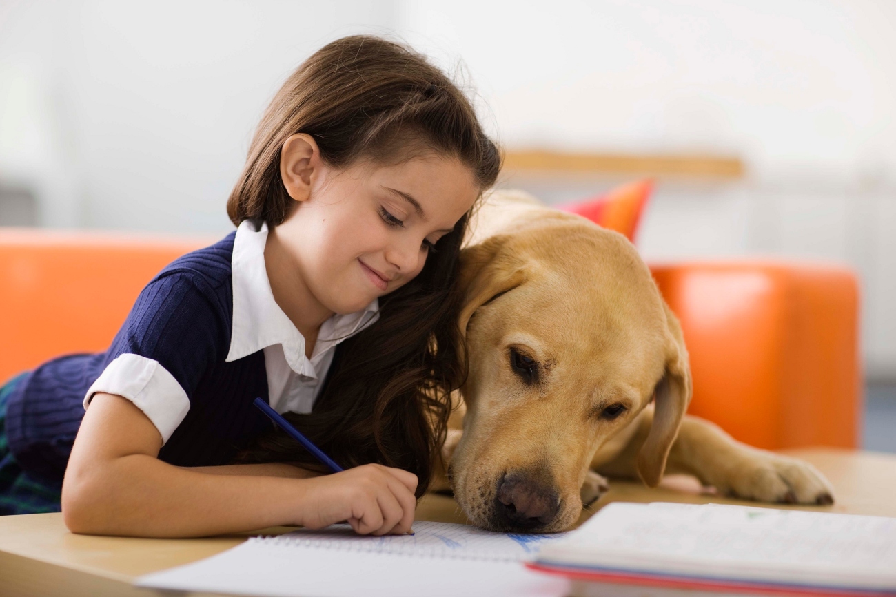 Дети читают собаке. Собака для детей. Животные школьники. Домашние животные и человек. Общение с домашними животными.