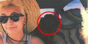 14264823_10153999012645892_7378884507353624870_n