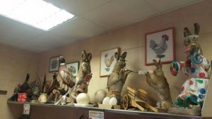 15027749_10154193490810892_4398743686082238206_n