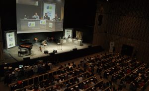 Dial tal cual en Vitoria