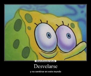 20090217050205bobdesvelado