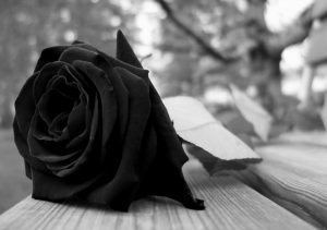 imagenes-para-whatsapp-de-luto