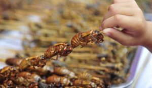 comida-insectos-780x450
