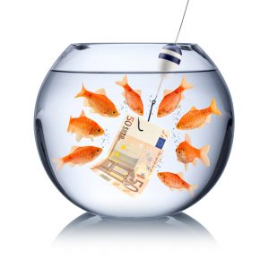 fish temptation concept