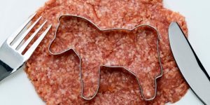 alimentos-adulterados-carne-caballo