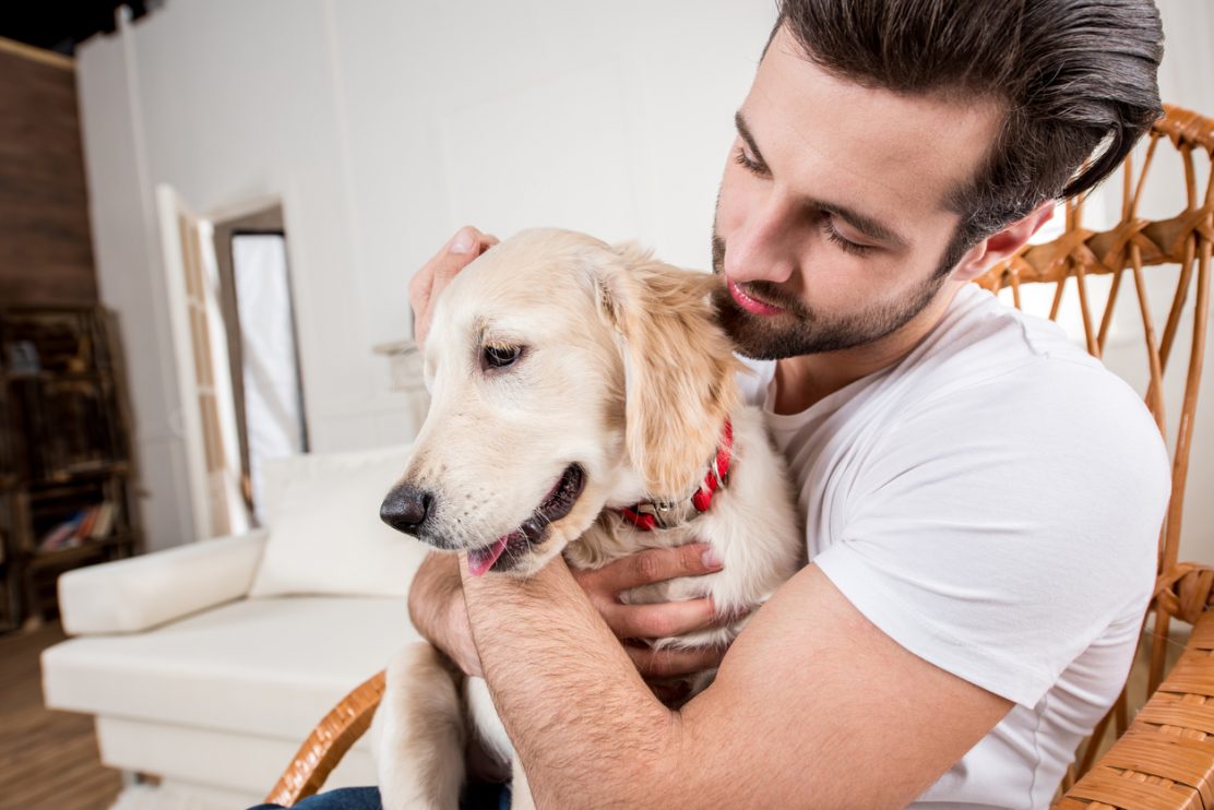 Las Razas De Perros Mas Cariñosas
