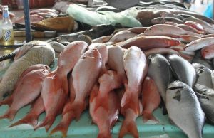 mercado-del-pescado-
