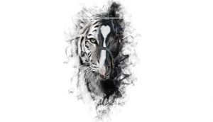 Alejandro F y Los tigres