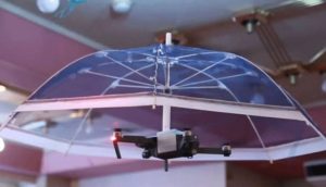 1528109567_005688_1528109775_noticia_normal-1-696x398