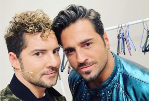 bisbal busta