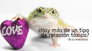 GettyImages-694016643 (3)