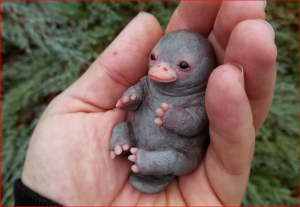 Bebé ornitorrinco viral