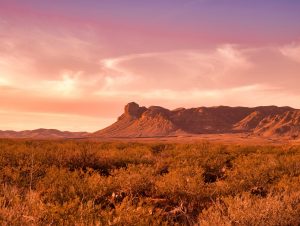 Texas y la falsa creencia de los pantalones vaqueros
