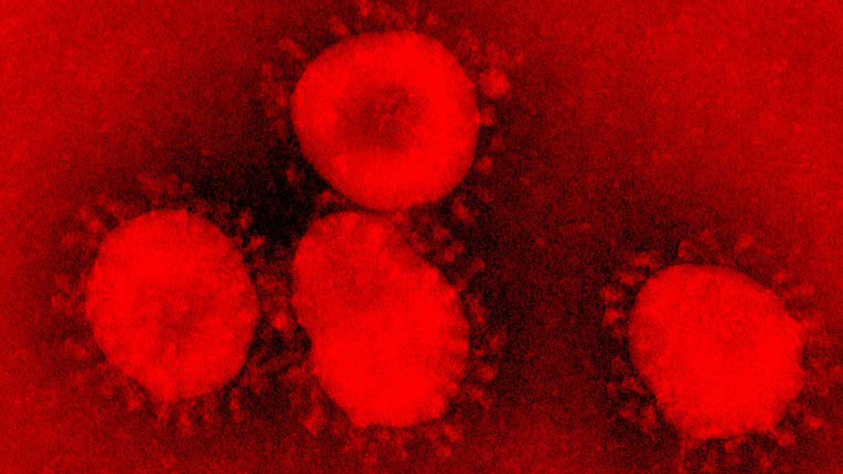 Resultado de imagen de Coronavirus