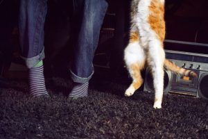 mujer baila con su gato