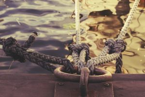 Descubrimos los oficios más extraños de nuestros atrevidos