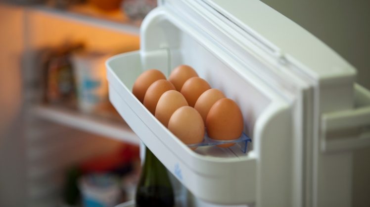 huevos nevera puerta alimento comida