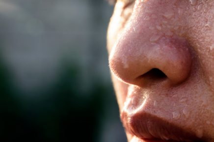 Sube la temperatura del programa explicando por qué prefiere el calor