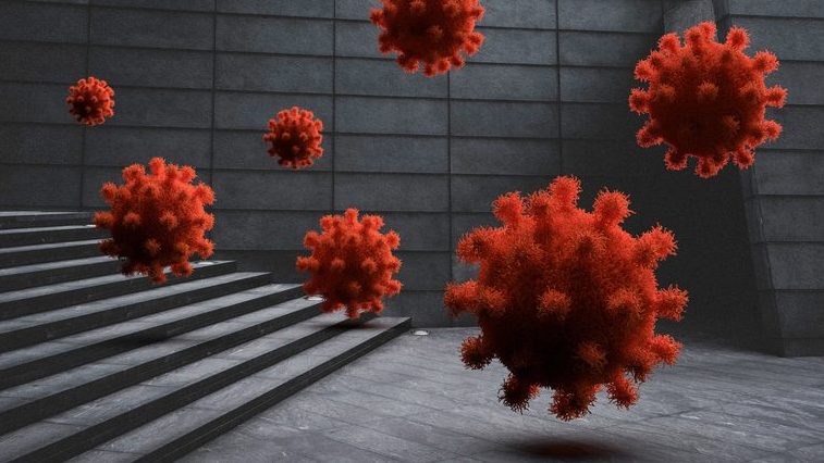 coronavirus oms pandemia eternidad