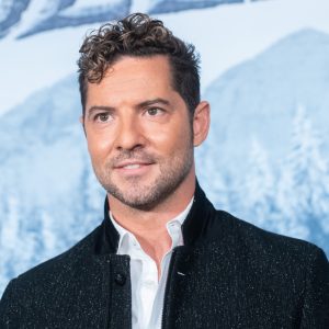 David Bisbal