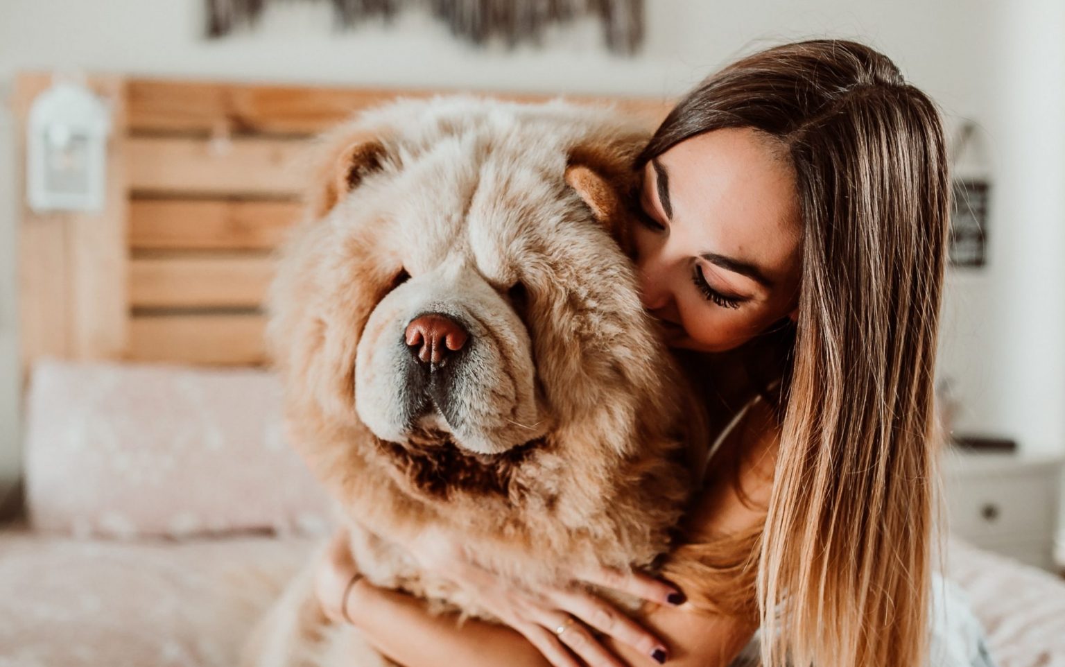 Las 10 mejores películas de perros