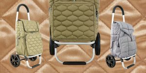 carritos de la compra zara