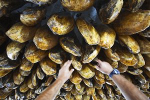 jamon serrano supermercado