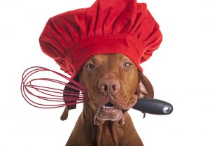 perros recetas sanas pienso