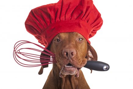 perros recetas sanas pienso