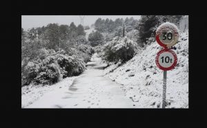 nieve