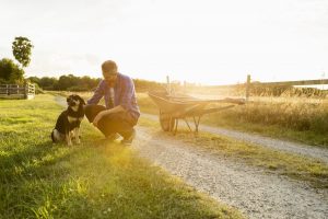 hombre con su perro en el campo