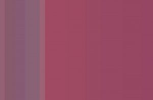 colores reto viral internet