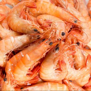 Gambas y langostinos frescos