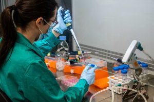 científicos investigando la vacuna