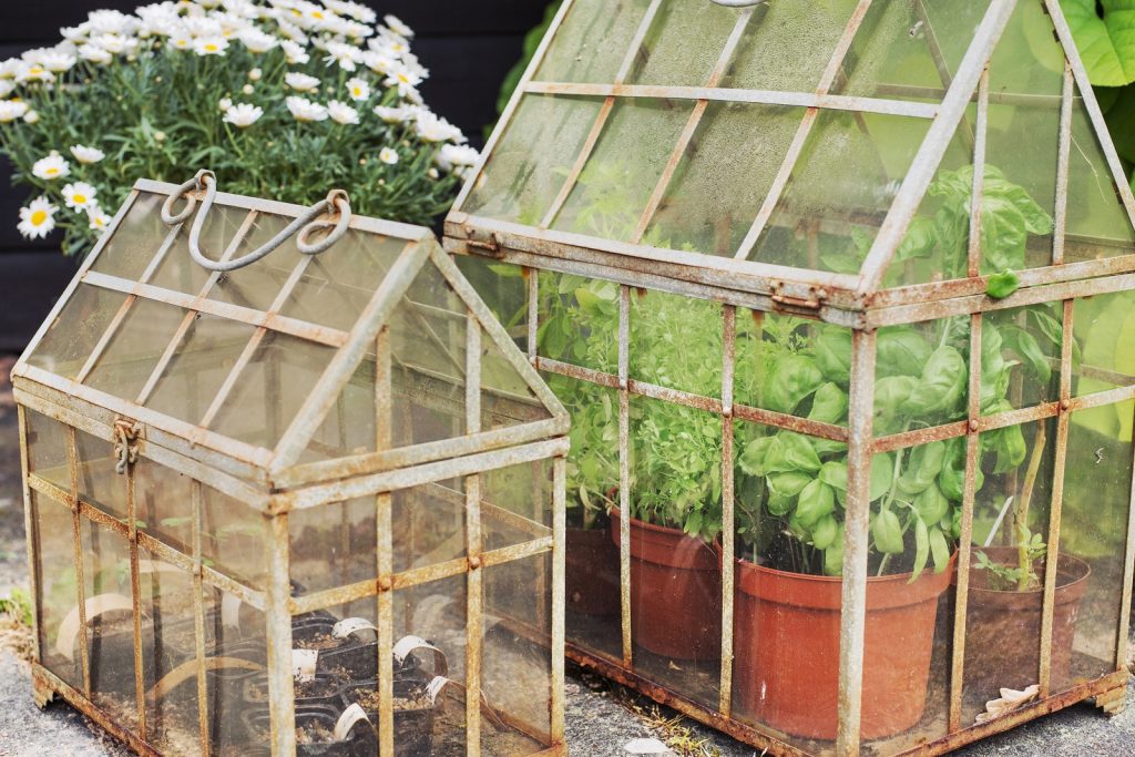Crea tu propio mini invernadero en casa por menos de siete euros