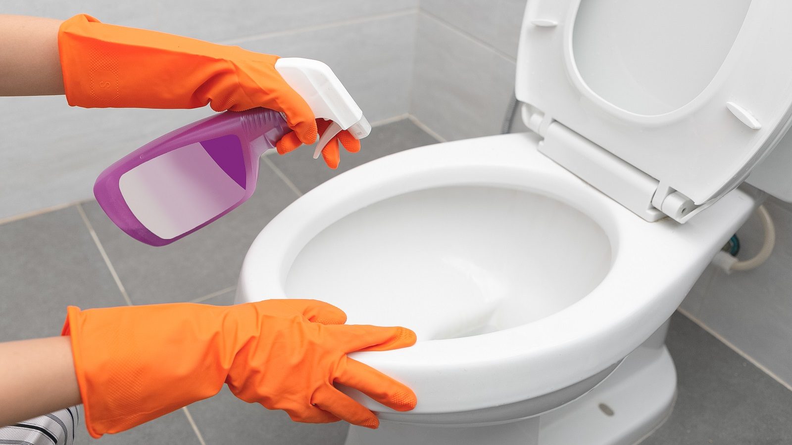 regular casamentero a lo largo Papel higiénico en un váter público: una fuente de infecciones