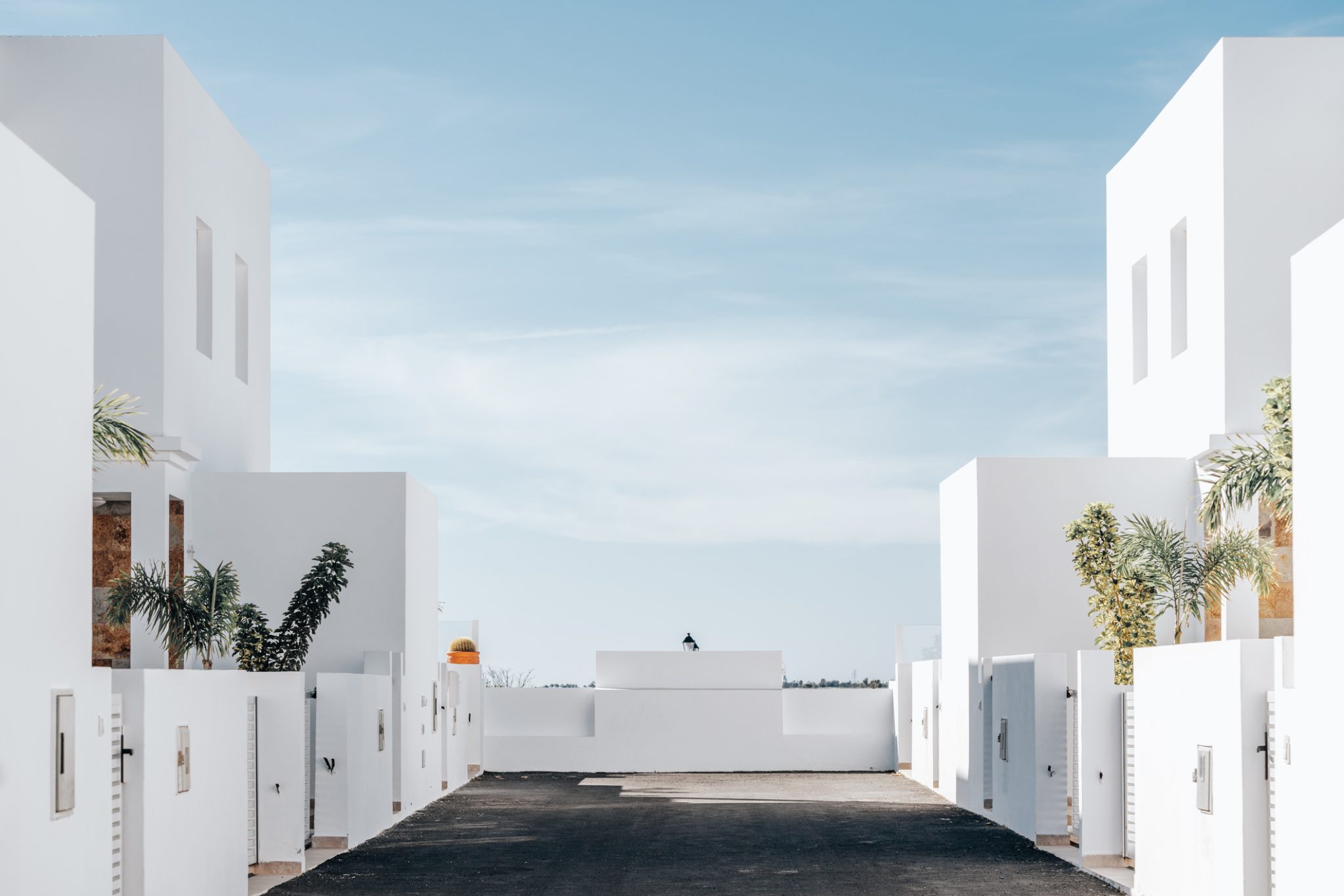 Una pintura blanca para solucionar el calentamiento global y el calor