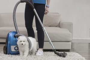 Limpieza con mascotas en casa