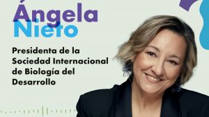 Ángela Nieto
